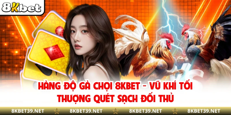 Hàng Độ Gà Chọi 8KBET - Vũ Khí Tối Thượng Quét Sạch Đối Thủ