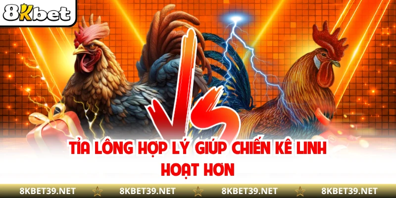 Tỉa lông hợp lý giúp chiến kê linh hoạt hơn